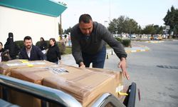 Hollanda'daki Türklerden depremden etkilenen "patili dostlar"a tedavi ve mama desteği