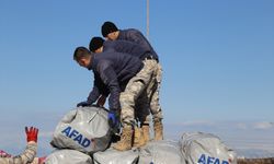 İncirlik Üssü'nden 900'ün üzerinde uçuşla depremzedelere yardımlar ulaştırıldı