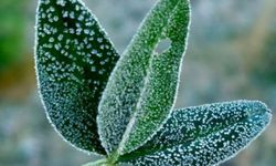 Meteoroloji'den don ve çığ uyarısı