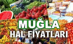 Muğla Hal'de Yaz sezonu bitti