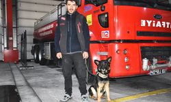 KONYA - Arama kurtarma köpeği "Gece" enkaz altındaki 18 kişiye ulaşılmasını sağladı