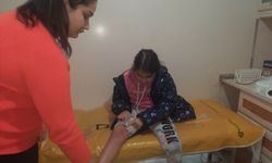 Sahipsiz köpeğin saldırdığı çocuk yaralandı