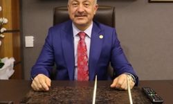 AK Parti Mersin Milletvekili Özkan'dan 14 Mart Tıp Bayramı mesajı