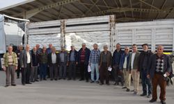 Antalya Serik'te arıcılara şeker desteği verildi