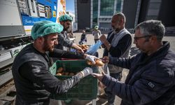 Hataylı depremzede 4 kardeş mobil fırında günde 25 bin ekmek üretiyor