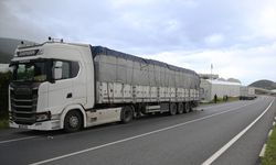Alanya'da iki tırın karıştığı trafik kazasında bir kişi yaralandı
