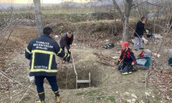 Kuyuya düşen köpeği itfaiye kurtardı