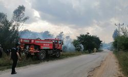 Ağaçlık alanda çıkan yangın söndürüldü