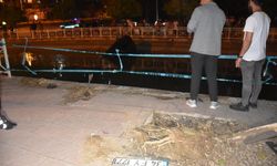 Adana'da sulama kanalına düşen otomobildeki 1 kişi öldü, 1 kişi yaralandı