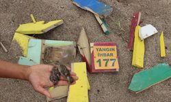 Manavgat'ta sahildeki yıkım sırasında kuş yuvaları ile kum zambaklarına zarar verildiği iddiası