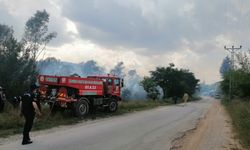 Osmaniye'de ağaçlık alanda çıkan yangın söndürüldü