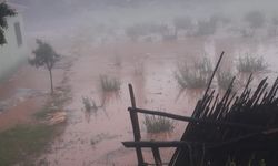 Mersin'de sağanak tarım alanlarında hasara neden oldu