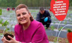 Çilek Köyü'nde hasat zamanı! Geliri eğitimde kullanılacak