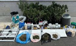 Adana'da iklimlendirme sistemiyle kenevir yetiştiren 4 zanlı yakalandı