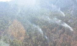 Antalya'nın Kemer ilçesinde yanan alanlar havadan görüntülendi