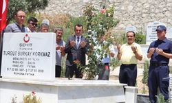 Finike Kaymakamı Çelik, şehit kabirlerini ziyaret etti