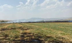 Isparta'da çıkan yangında 120 dekarlık arpa tarlası zarar gördü