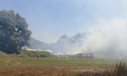 Manavgat'ta makilik alanda çıkan yangın söndürüldü