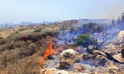 Mersin'de makilik alanda çıkan yangına müdahale ediliyor