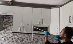 Bursa'da eve giren maymun korumaya alındı!