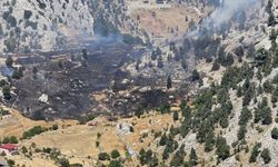 Alanya'da makilik alanda çıkan yangın kontrol altına alındı
