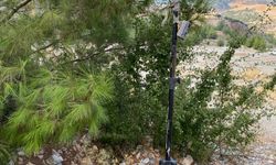 Antalya'da "can suyu havuzları"ndan su içen yaban hayvanları fotokapanla görüntülendi
