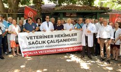 Antalya'da veteriner hekimler şiddete tepki amacıyla bir araya geldi