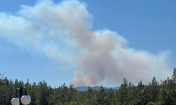 Antalya'nın Kaş ilçesinde makilik alanda yangın çıktı
