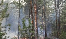 GÜNCELLEME - Antalya Akseki'de orman yangını çıktı