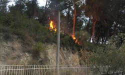 Hatay’da ağaçlık alanda çıkan yangın söndürüldü