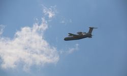 Hatay'da çıkan orman yangını söndürüldü