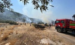 Kaş'ta zeytinlik alanda çıkan yangın söndürüldü