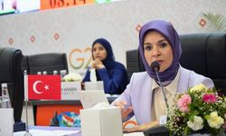 Bakan Göktaş Hindistan'da G20 konferansında