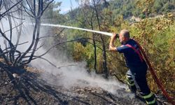 Hatay Antakya'daki orman yangınları söndürüldü