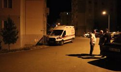 Pençe-Kilit Operasyonu bölgesinde şehit olan Lale'nin Sivas'taki ailesine acı haber verildi