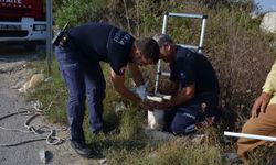 Antalya'da kuyuya düşen oğlağı itfaiye kurtardı