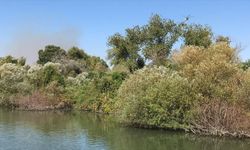 Antalya'da sazlık alanda çıkan yangın söndürüldü