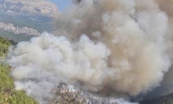 Alanya'da çıkan orman yangınına müdahale sürüyor