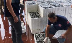 Bursa'da 119 kasa istavrite el kondu!