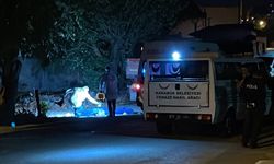 Bir kişi karısını ve kayınvalidesini tüfekle öldürdü