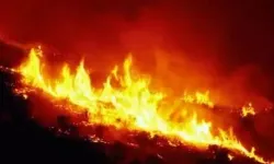 Demre'de çöplük alanda başlayıp ormana sıçrayan yangın söndürüldü