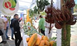 2. Alanya Tropikal Meyve Festivali başladı