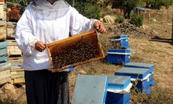 Adana'da kadın arıcıya malzeme desteği