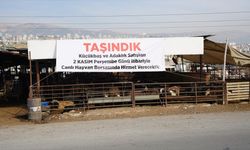Kahramanmaraş'ta küçükbaş hayvan satışı canlı hayvan borsasında yapılacak