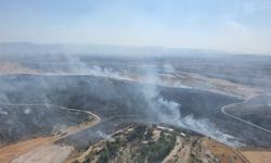 Kahramanmaraş'ta ormanlık alanda çıkan yangın söndürüldü