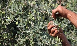 Mersin'de "2. Arnica Art Land Sanat Çalıştayı" sergisi açıldı