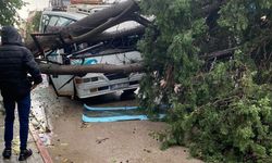 Adana'da kuvvetli rüzgar ve sağanak yaşamı olumsuz etkiledi