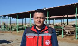 Afşinli depremzede üreticilere hayvan desteği