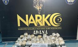 Adana'da küçükbaş hayvan yüklü tırda 123 kilogram sentetik uyuşturucu ele geçirildi