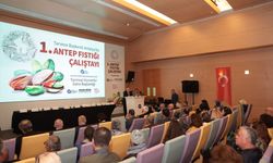 Antalya'da Antep fıstığı üretiminin geliştirilmesine yönelik çalıştay yapıldı